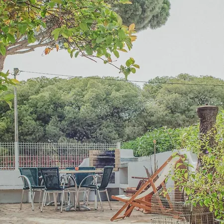 Pine House - Faro Airport, Beach And City Center-2